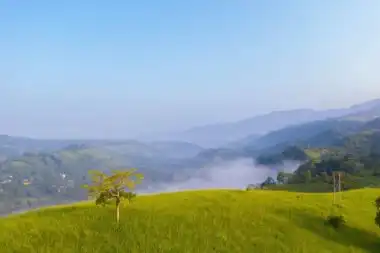 Chail hills