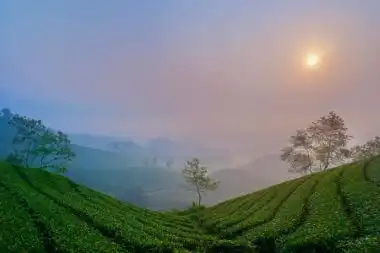 Meghamalai hills