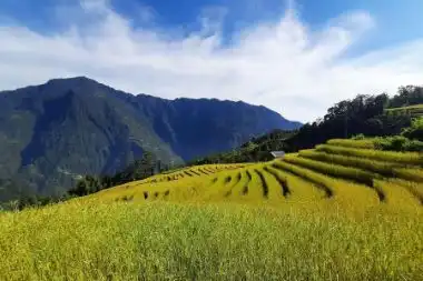 Ravangla hills