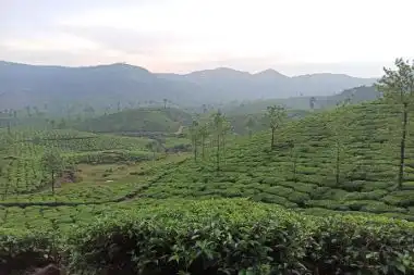 Vagamon hills