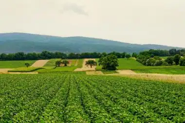 Valparai hills