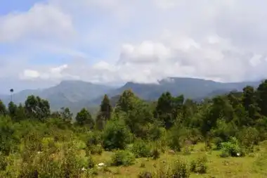 Vattakanal hills