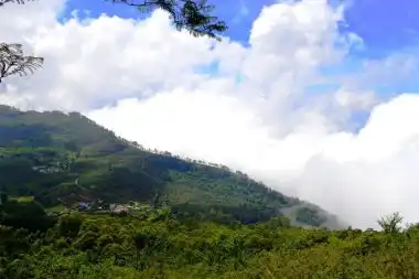 Yercaud hills
